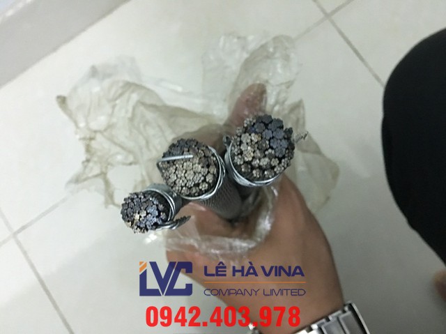 Cáp chống xoắn 35x7, cáp chống xoắn, cáp thép, cáp thép chống xoắn, cáp chống xoắn Hàn Quốc