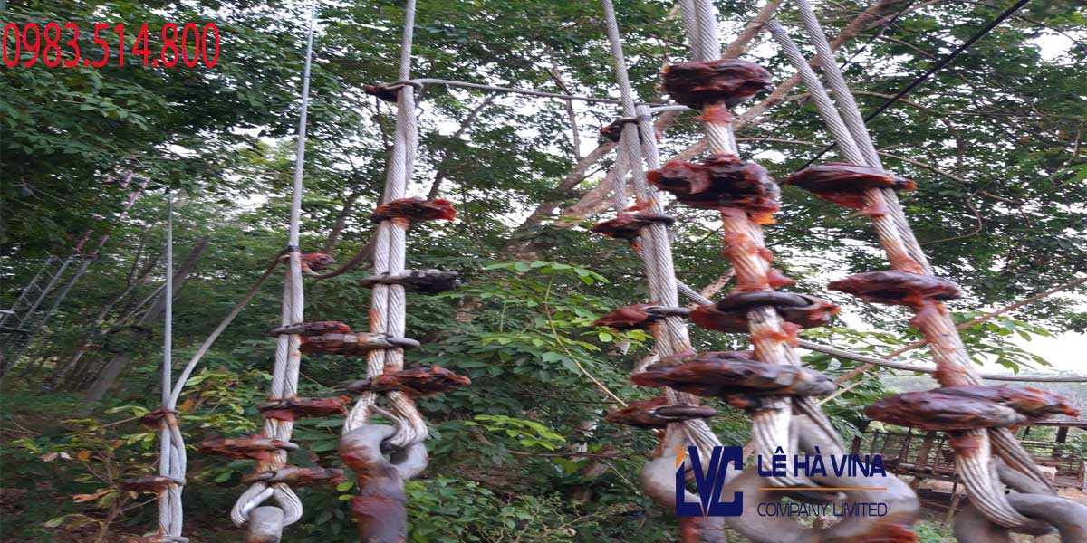 Cáp cứng viễn thông chống mài mòn