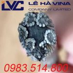 Mua cáp thép mạ kẽm ở đâu uy tín chất lượng?