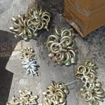 Công ty Lê Hà Vina bán lô bulong RT và bulong RN cho khách ở Bà Rịa Vũng Tàu